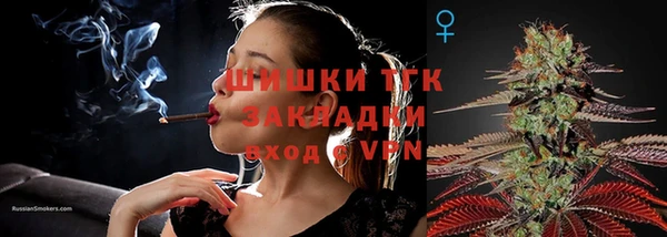 гашик Белокуриха